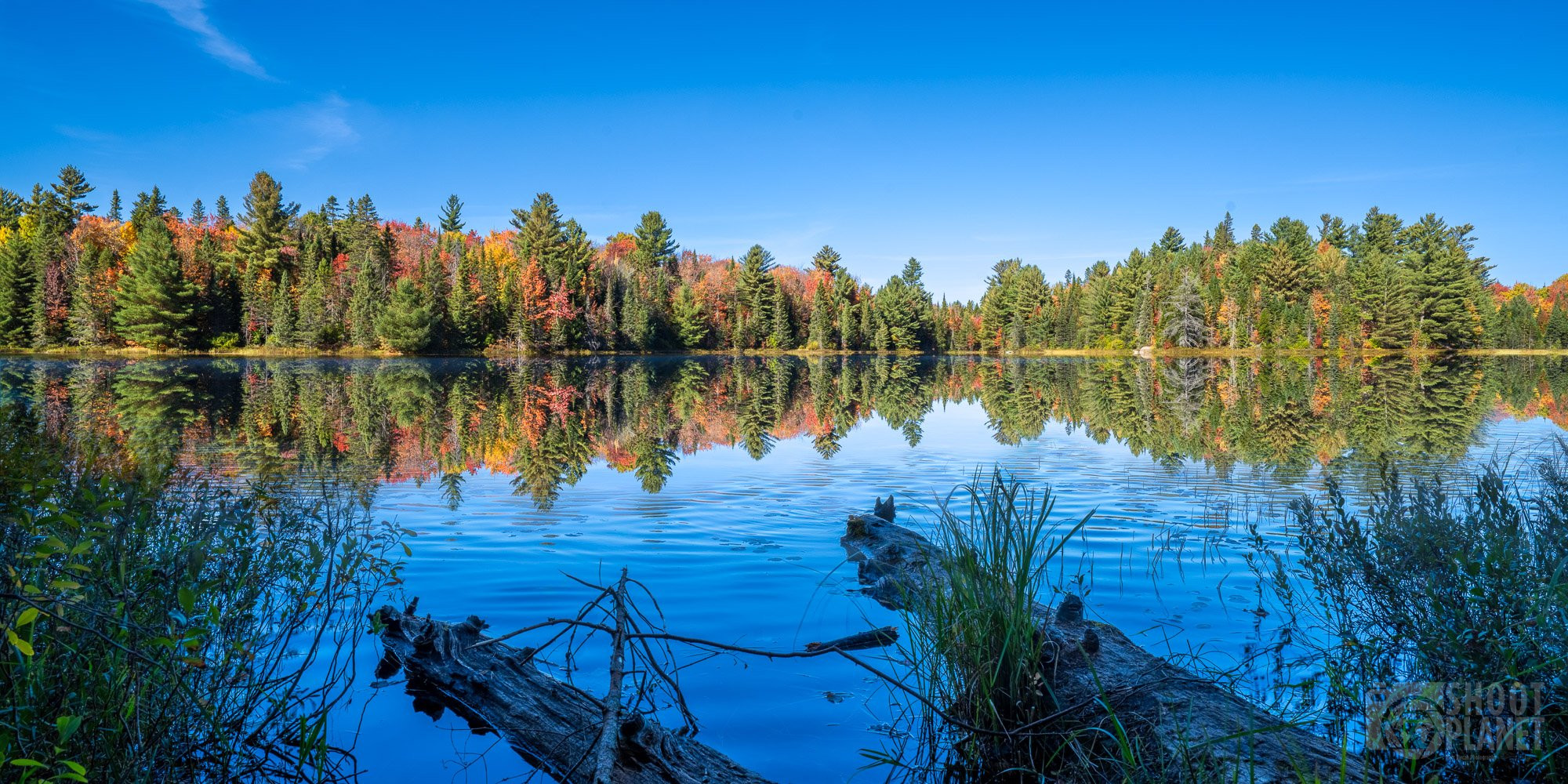 Peck Lake Trail in Autumn Algonquin Canada